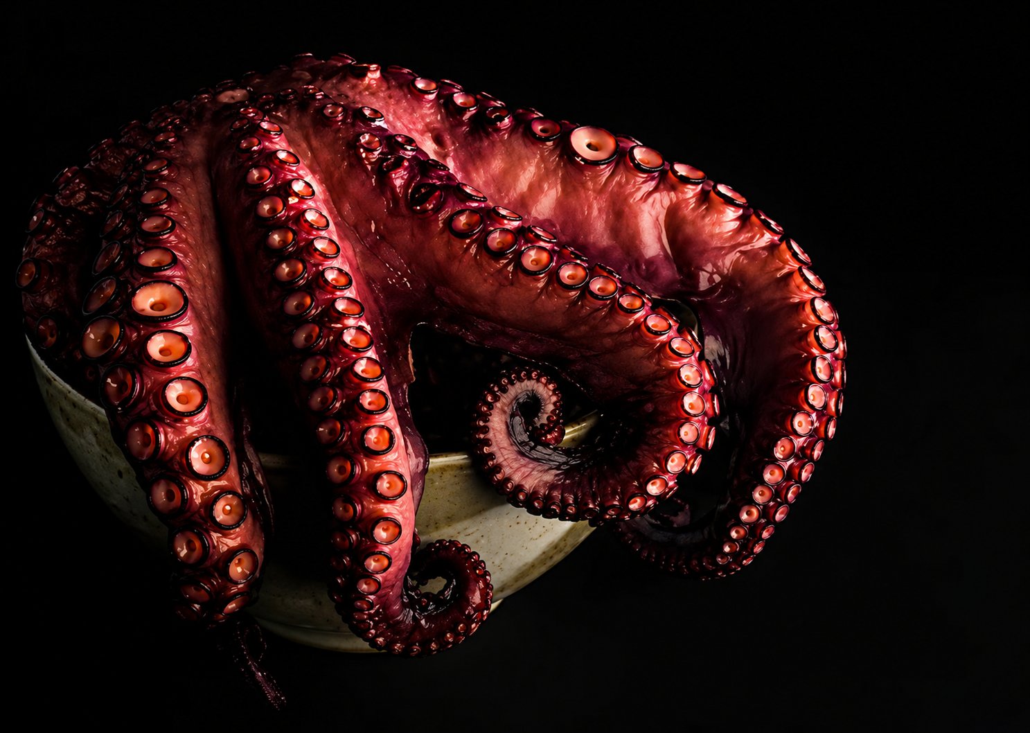Cooked octopus